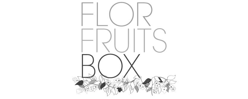 FlorFruitsBox 01 - Agencia Creativa en Bilbao